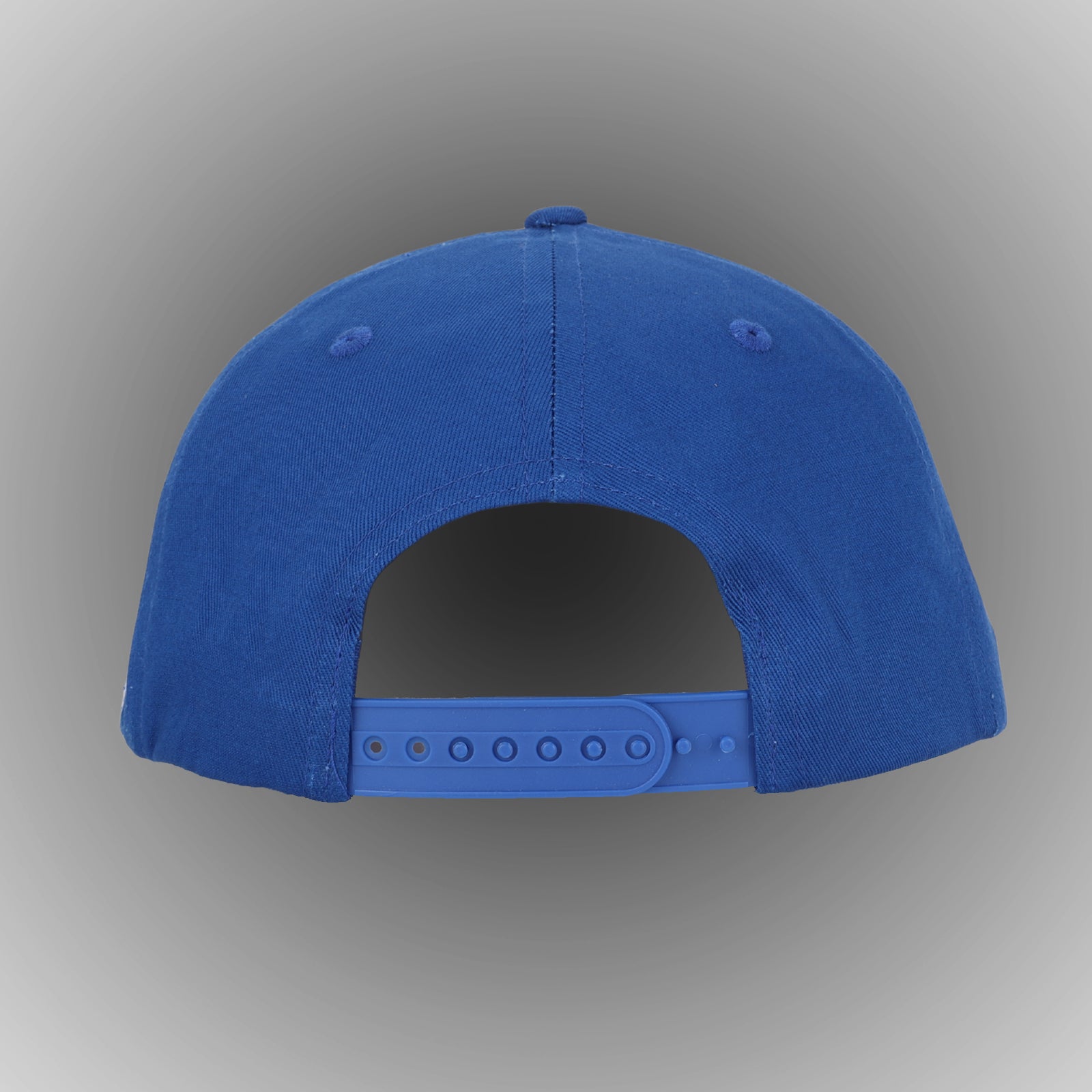Mobile Professional Snapback Hat